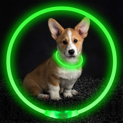 Pet Rechargeable Glowing Safety Collar