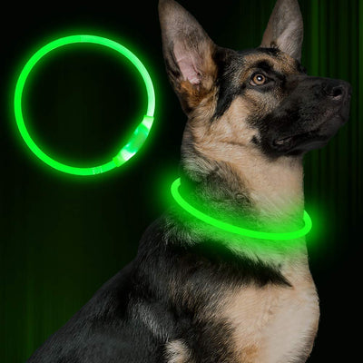 Pet Rechargeable Glowing Safety Collar